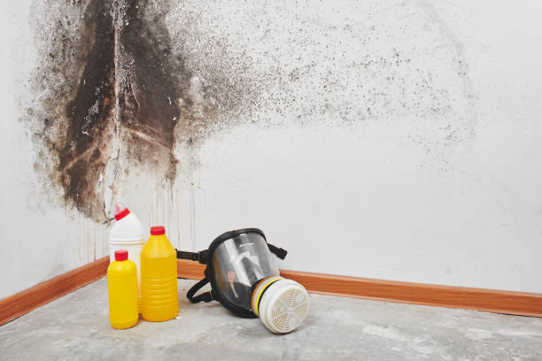Best Commercial Mold Removal  in Parsippany, NJ