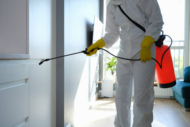 Best Attic Mold Removal  in Parsippany, NJ