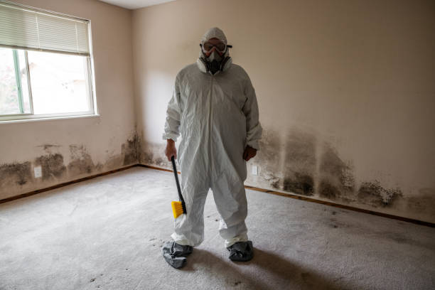 Parsippany, NJ Mold Removal Company