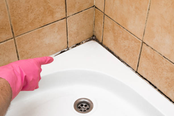 Best Commercial Mold Removal  in Parsippany, NJ